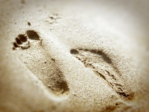 BF - Footprints-1